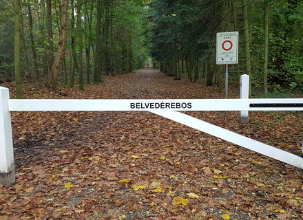 Belvederebos Oost