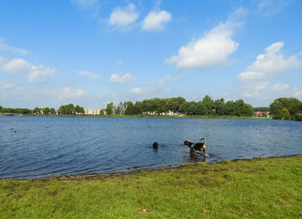 Bos der Onverzettelijken