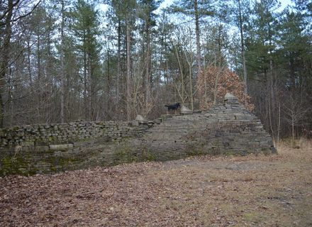 Boswachterij Dorst - Frederiksbossen