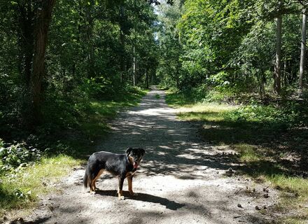 Boswachterij Groesbeek