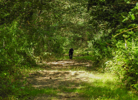 Boswachterij Het Spijk en Bremerberg