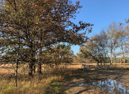 Boswachterij Hooghalen