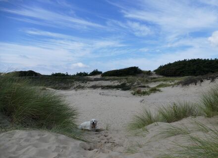 Boswachterij Noordwijk